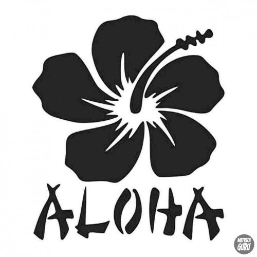 Hawaii Aloha felirat és virág - Autómatrica