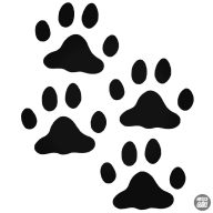 Házimacska tappancsok szett matrica