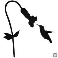 Kolibri pici madár matrica