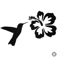 Kolibri hibiszkusz matrica
