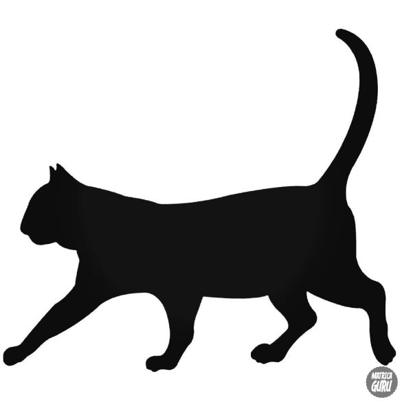 Sétáló macska matrica