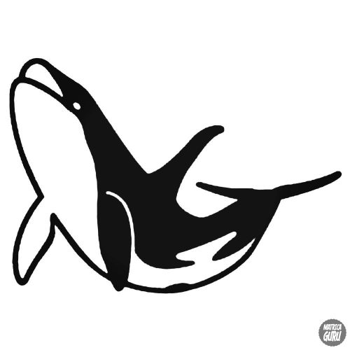 Kardszárnyú delfin matrica