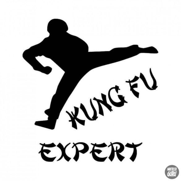 Kung-Fu Expert matrica