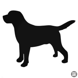 Labrador matrica 9