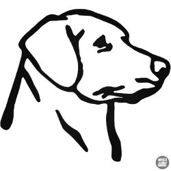 Labrador "1" matrica