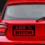 100% Bitch - Szélvédő matrica
