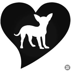 Love Chihuahua "1" matrica