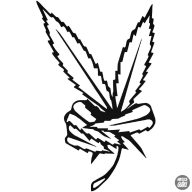 Kéz Fűből Autómatrica