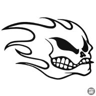 No Fear Style - Autómatrica