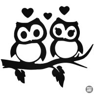 Szerelmes Baglyok matrica