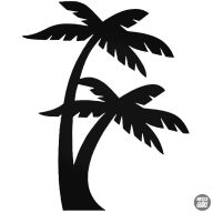 Pálmák Autómatrica