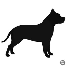 Pitbull kutya "1" matrica