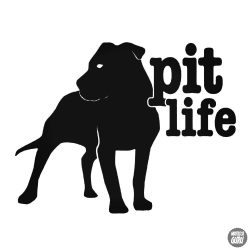 Pit Life "1" matrica
