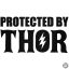 Protected by Thor Autómatrica