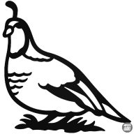 Fürj Madár matrica