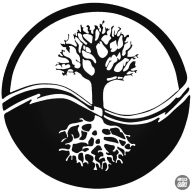 Yin-Yang FA Autómatrica