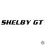 Ford matrica SHELBY GT