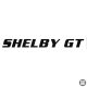 Ford matrica SHELBY GT