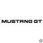 Ford Mustang matrica