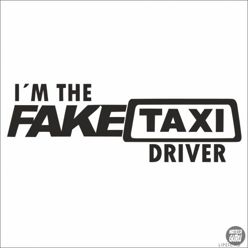 FakeTaxi Driver - Autómatrica