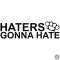 Haters Gonna Hate Boxer - Autómatrica