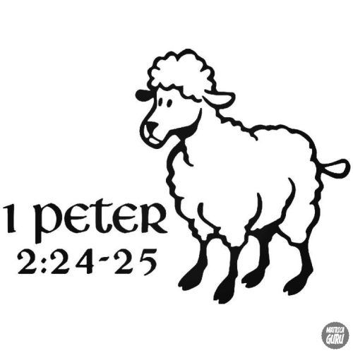 1 Peter bárány Autómatrica 