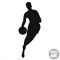 NBA jel matrica