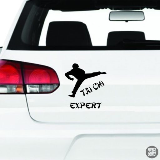TAI CHI Expret matrica