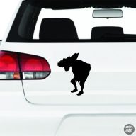 Quasimodo Autómatrica