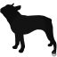 Boston Terrier Kutya matrica