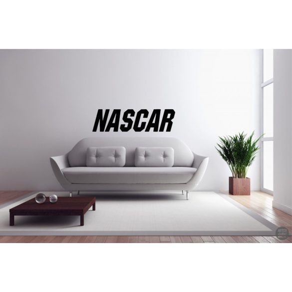 NASCAR Falmatrica